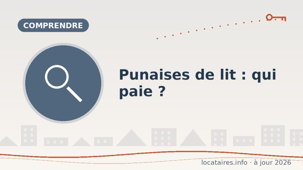 Punaises de lit : qui paie le traitement, locataire ou bailleur ?